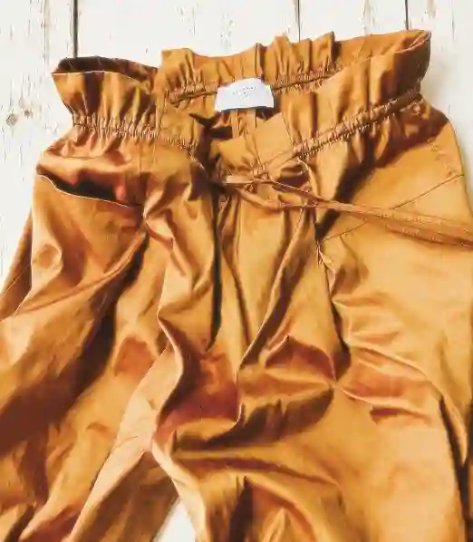 Picture of Nika Silk Taffeta Pant